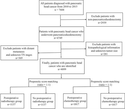 Nomogram for Predicting the Prognoses of Patients With Pancreatic Head Cancer After Pancreaticoduodenectomy: A Population-Based Study on SEER Data